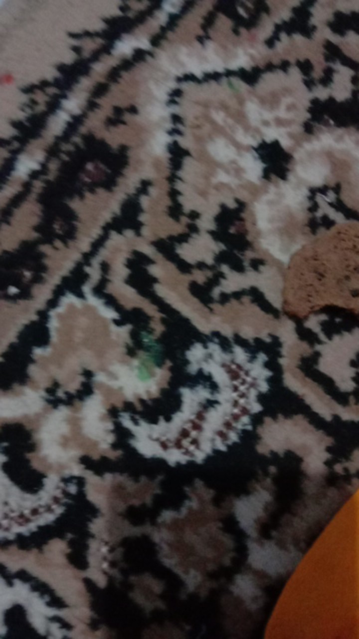 Paket Komplit Shower Toilet + Kran Closet, Jet Shower, Shower Cebok