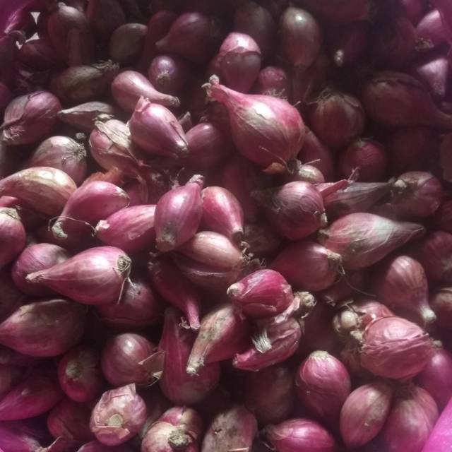 

Bawang Merah Brebes 1kg (1000gram)