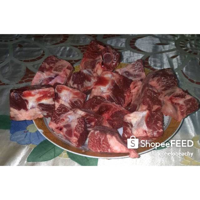

Tulang punggung sapi