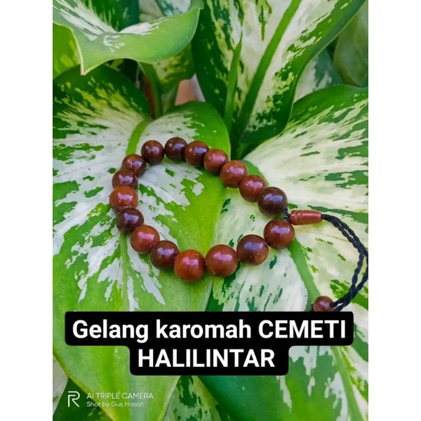 Gelang Karomah Cemeti Halilintar