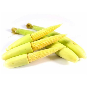 

Putren / Jagung muda 250gr #Segar#Online#Bandung#Cimahi