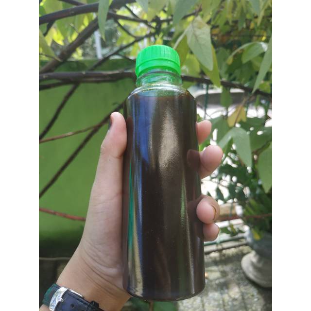 

pempek syamil Cuko asli palembang