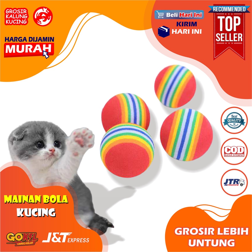 RAINBOW BALL - MAINAN BOLA KUCING KITTEN ANJING DOG TOYS CAT TOYS ( MAINAN KUCING &amp; ANJING )