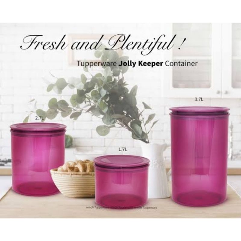 Jolly Keeper/Jolly Keeper Magenta/Jolly Keeper Tupperware/Counterpart/toples Tupperware/signature un