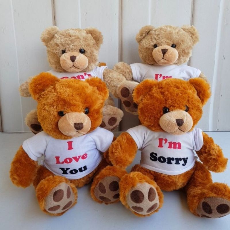 BONEKA TEDDY BEAR TSHIRT IM HAPPY / I LOVE YOU / IM SORRY / DONT FORGET ME 25 CM