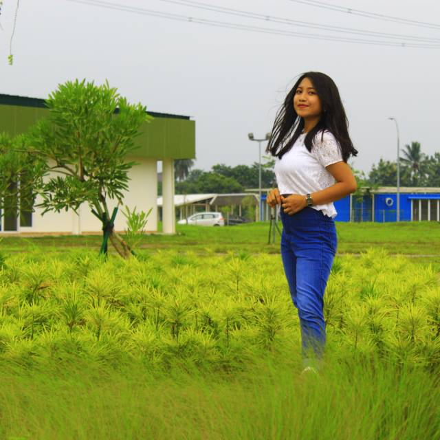 medhascrt
