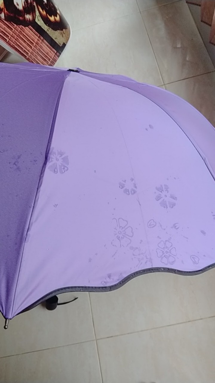 Shenarserbaunik Payung Magic 3d / Payung Bermotif Saat Hujan