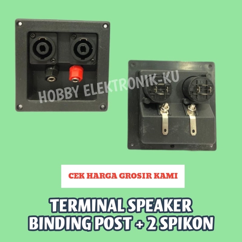 TERMINAL SPEAKER BINDING POST + 2 SPIKON