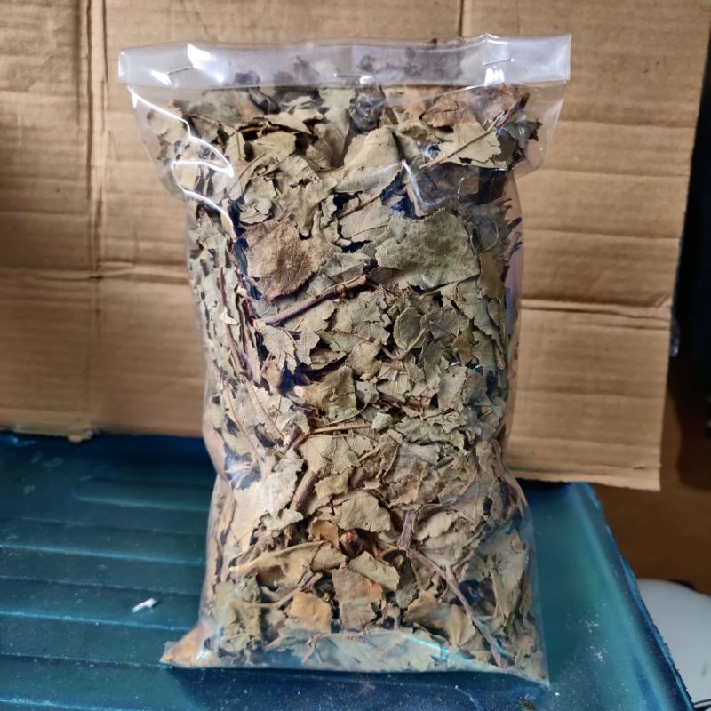 Daun Jati Belanda