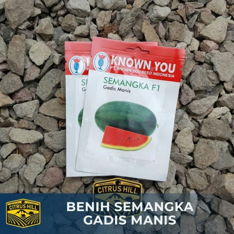 Benih Semangka Gadis Manis Known You Seed SP
