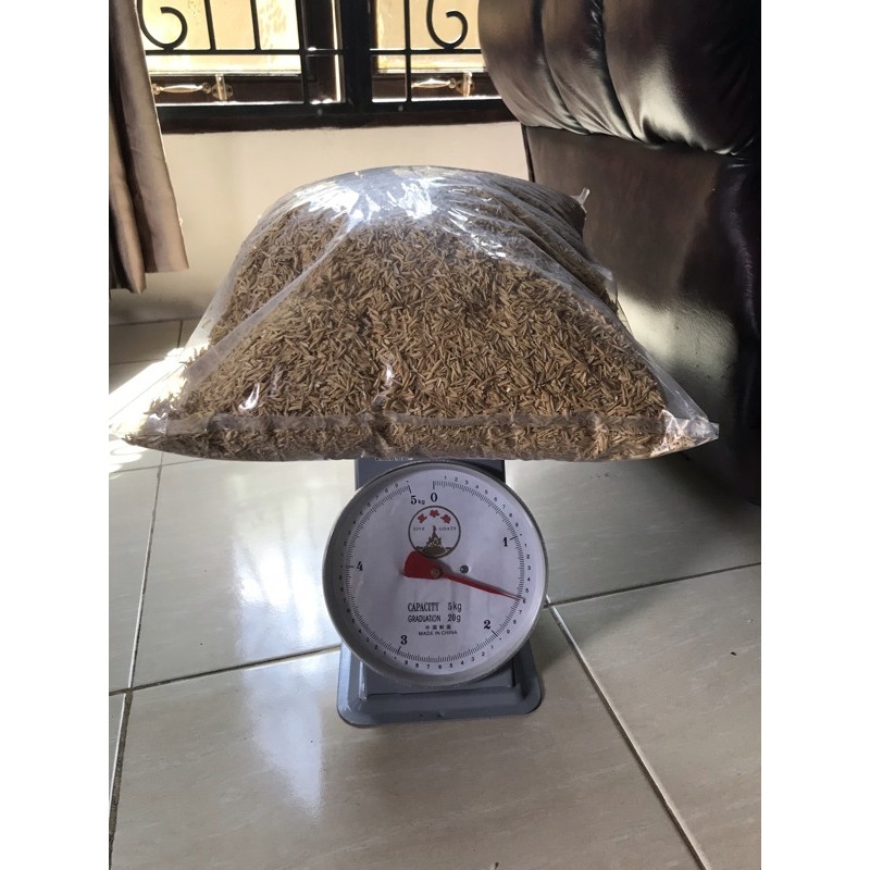 SEKAM / SEKAM MENTAH / SEKAM NON FERMENTASI