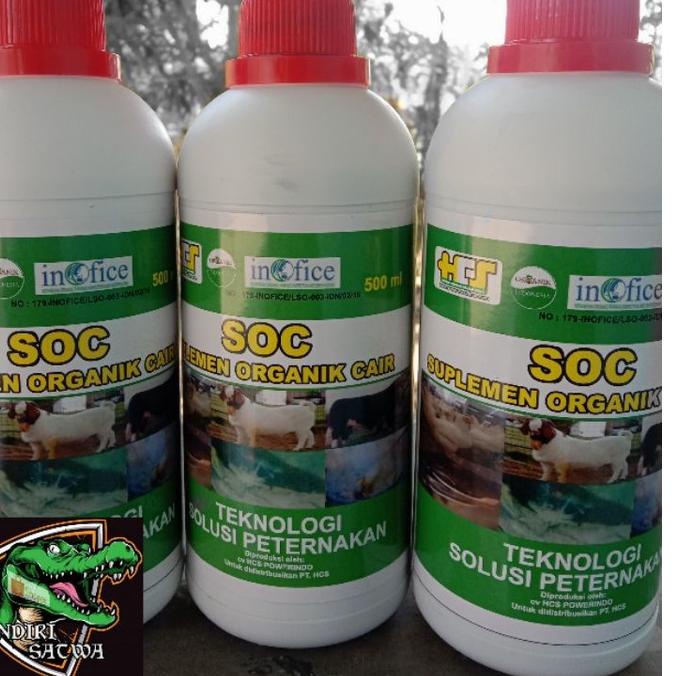 Terbagus.. SOC HCS SUPLEMEN TERNAK