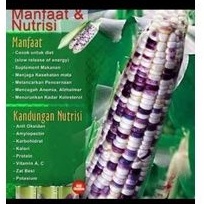 

Jagung Ketan 1 kg jagung pulut corn diet kesehatan.