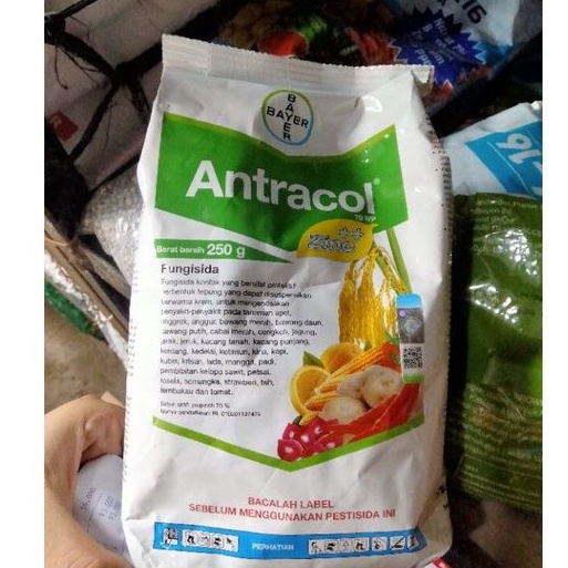 Antracol Fungisida 250 Gram