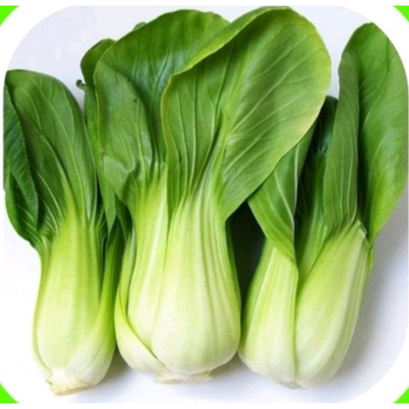 

pokcoy hijau fresh 500 g