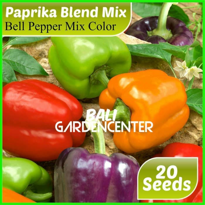 CODE ID PAKET BENIH BIJI BIBIT BUAH PAPRIKA 4 JENIS