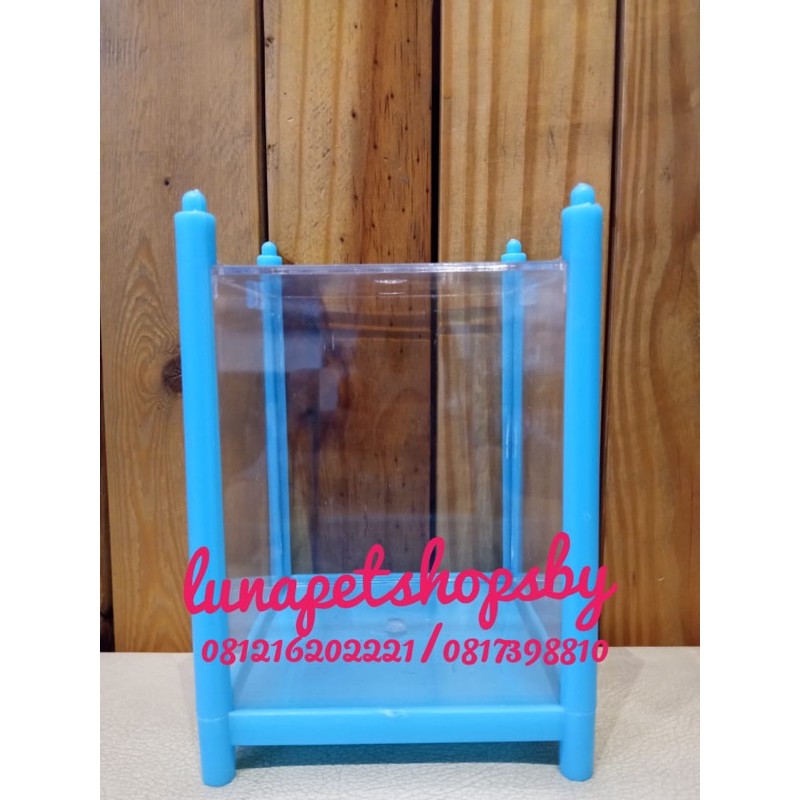 Akuarium Ikan cupang