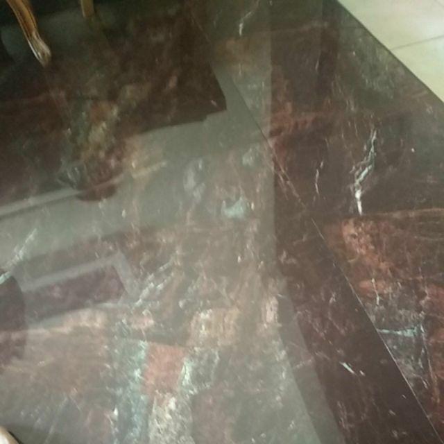 Tanaman Hias Melati Kaca Piring Harum / Melati Kaca Piring / Melati Kaca Piring