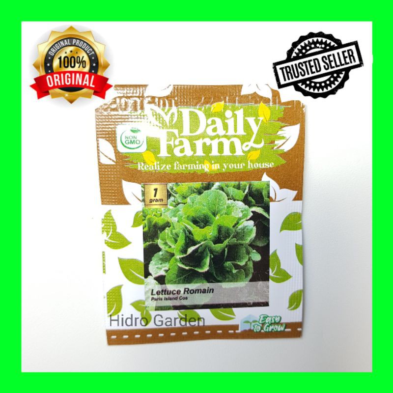 Benih / Bibit Selada Romain / Romaine Paris Island Cos Daily Farm
