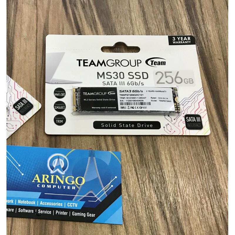 Harddisk Team SSD M.2-2280 SATA3 MS30 256GB Retail