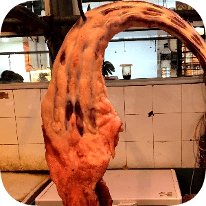 

Daging Sapi - Buntut 250 g