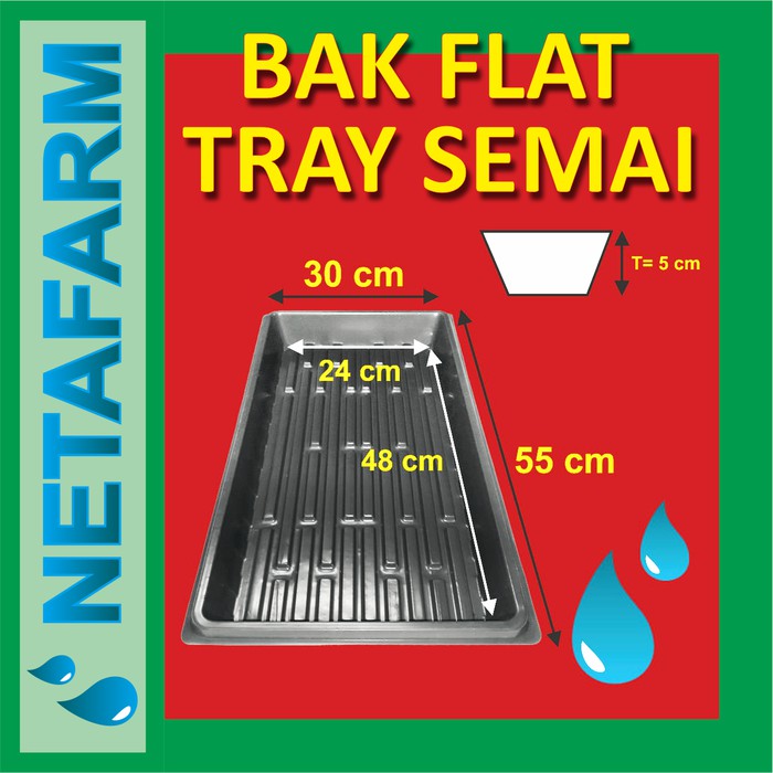 Nampan Alas Tray Semai Traypot Biji Benih Nampan Baki Seedling - Set 6 pcs