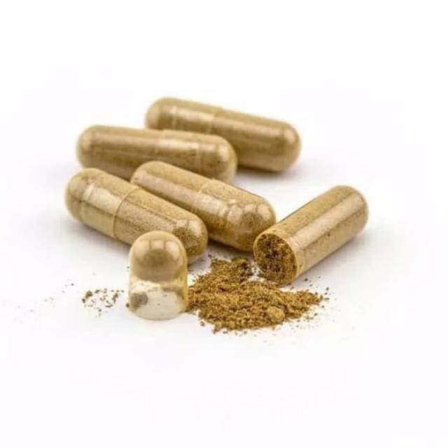 

Kapsul Biji Kedawung Dawung Rempah Herbal Natural Obat Alami