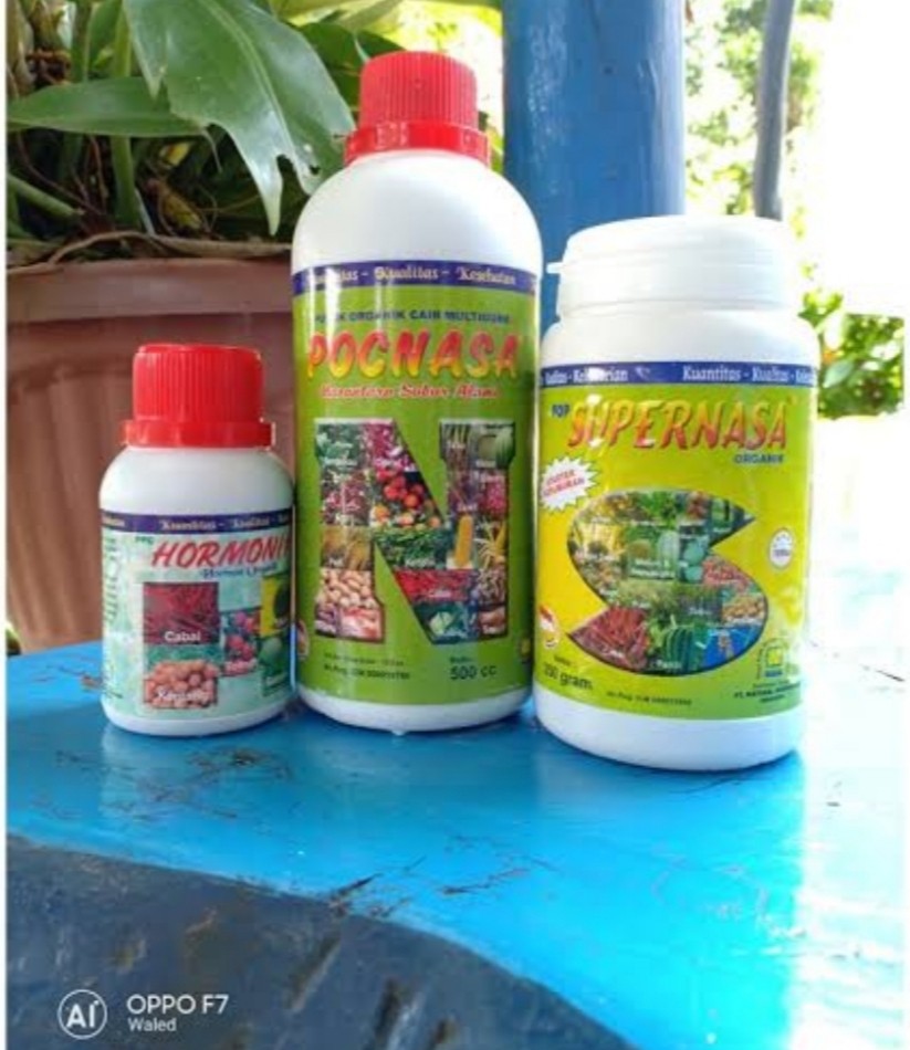 Pupuk Penyubur Pelebat Perangsang Buah Tabulampot Paket Pertanian
