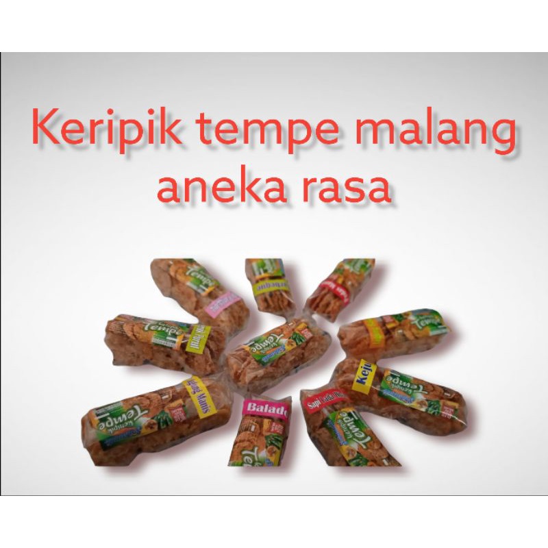 

[Oleh-Oleh khas Malang] Paket Kripik Tempe Malang isi 16 (FREE KARDUS+bubble)