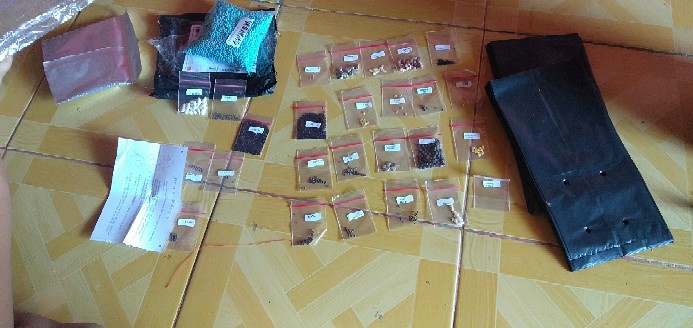 Paket Hemat Berkebun 25 Jenis Sayur Dan Buah