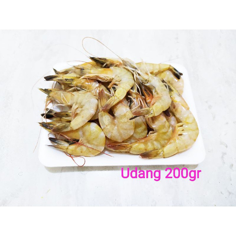 

udang segar 230 gr