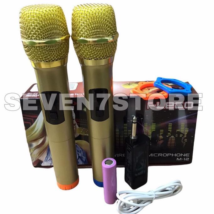 Mic Double Wireless Fleco M12