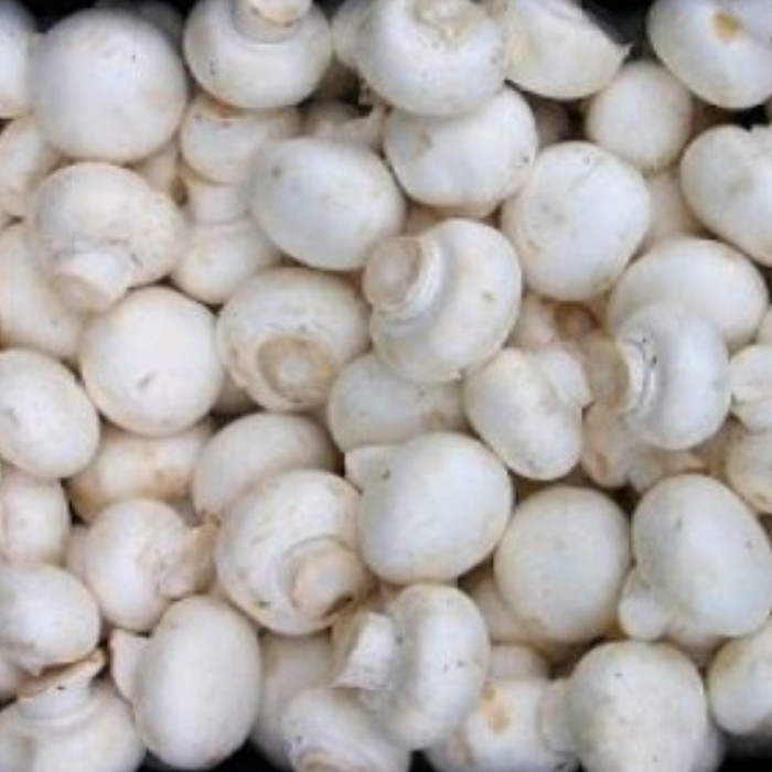 Jamur Champignon /Jamur Kancing Fresh 250gr