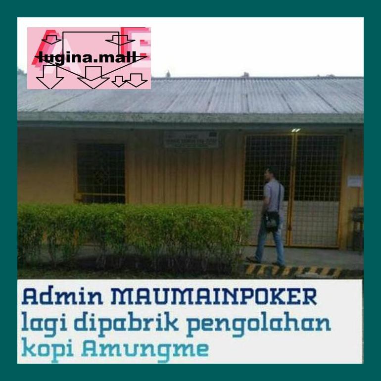 

Koptlu50G Kopi Organik Amungme Gold (Asli Papua / Timika / Freeport) 250Gr Lud5Sc