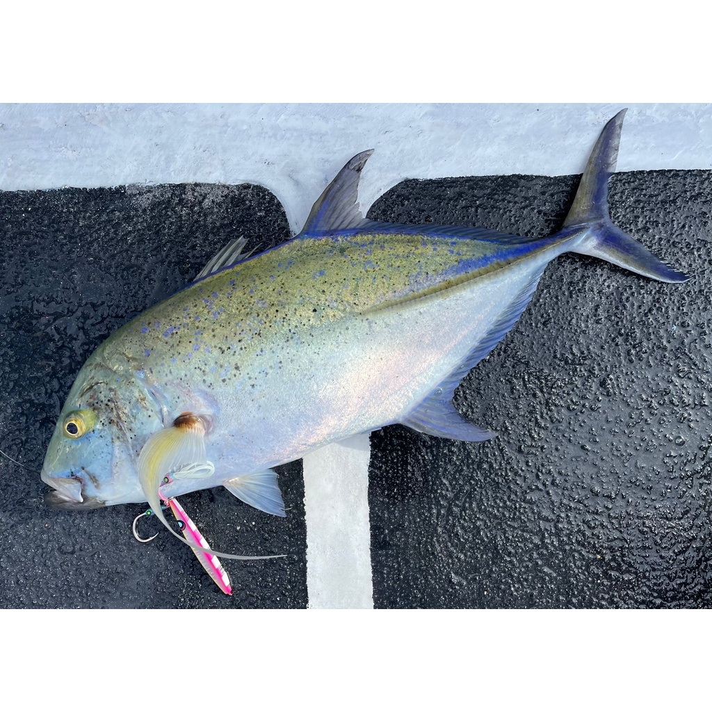 UMPAN PANCING metal jig FIRELOCK SAFIR 40 / 60 / 80 / 100 / 170 GRAM