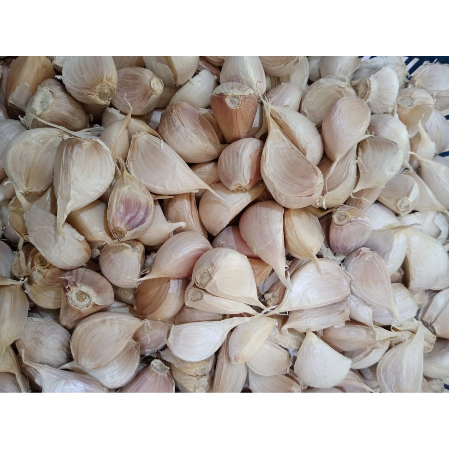 

Bawang Putih Kating Kupas 250gr-02