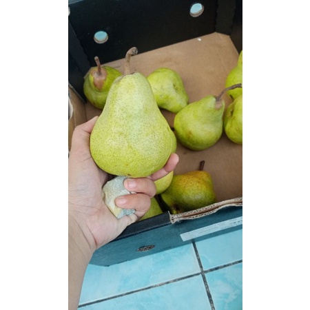 

pir pacham / pir jambu