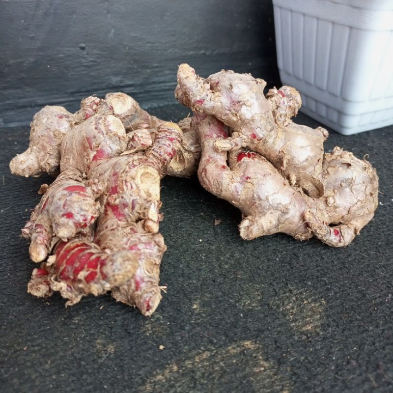 

Jahe merah / ginger red sudah bersih Jahe alami jahe merah 5 kg