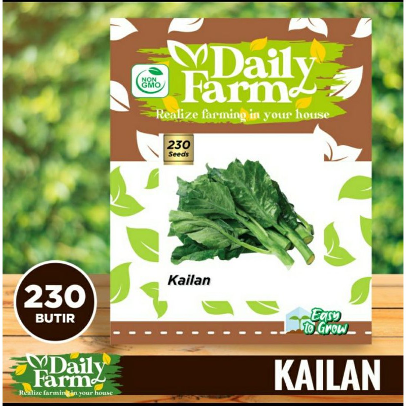 Benih Sayur Kailan - Bibit Kailan - Daily Farm