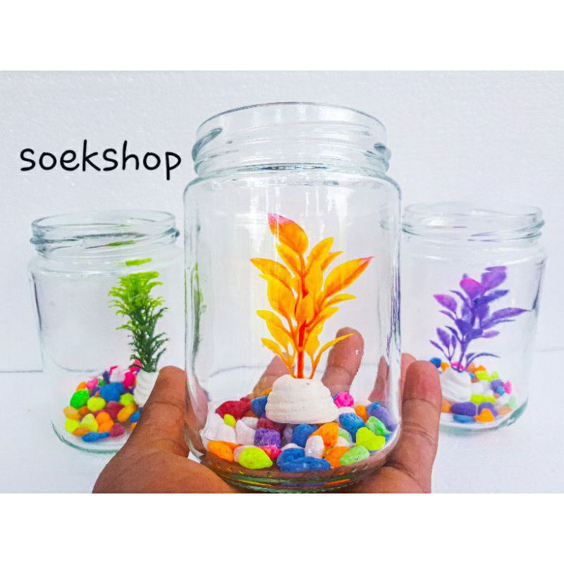 Toples kaca ikan cupang Botol kaca ikan cupang Tempat ikan cupang