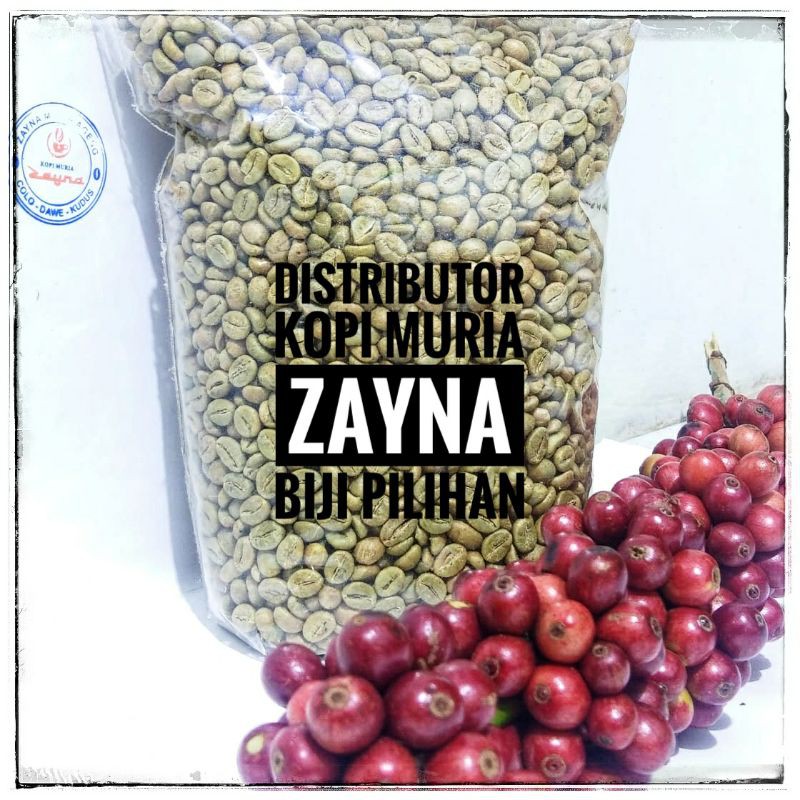 Kopi Muria Zayna Serbuk (Bubuk) Kemasan 500 Gr 1000 Gr Original langsung dari distributor