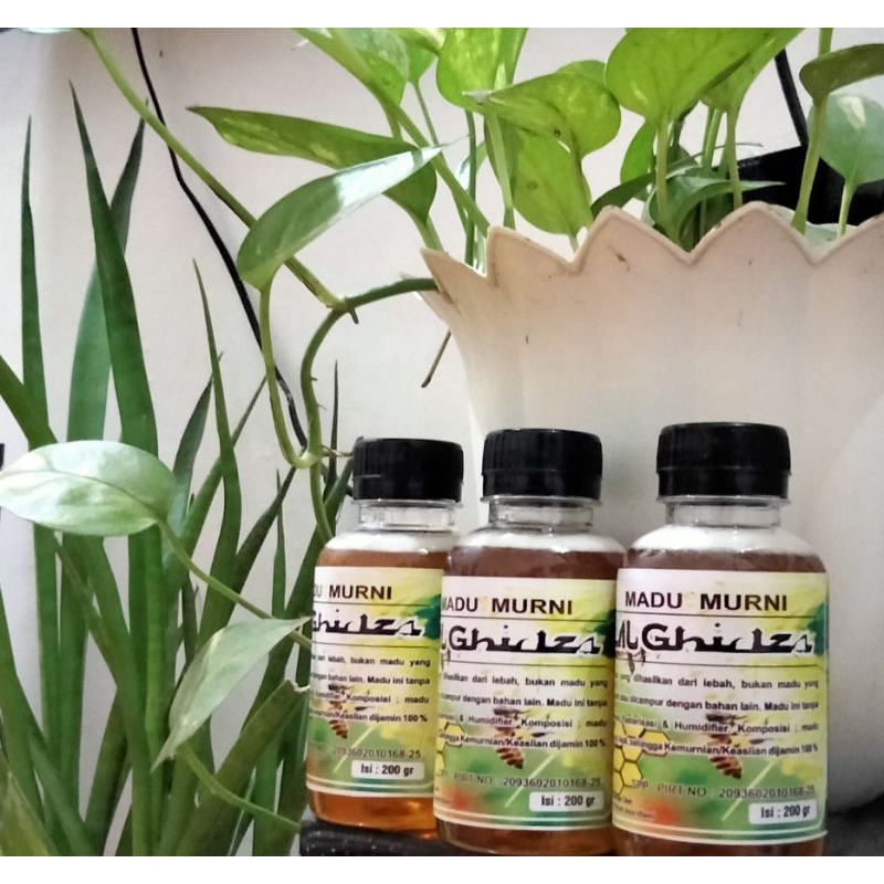 

MADU AL GHIDZA 200 Gram