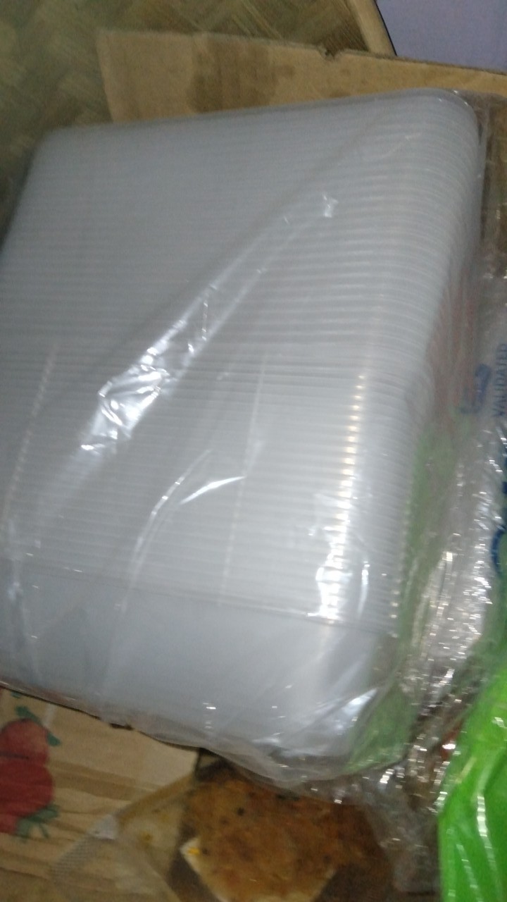 Thinwall 500ml/thinwall Persegi/kotak Makan Plastik/food Container