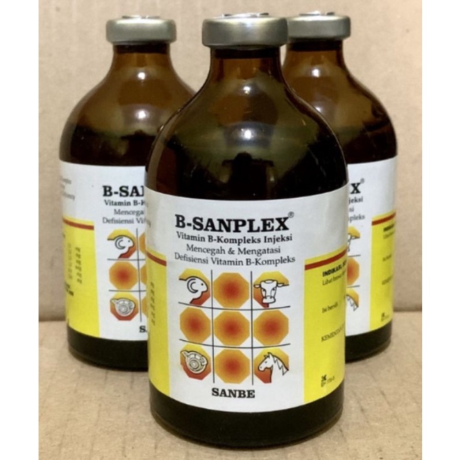 B-SANPLEX 100 ML INJEK (Vitamin B Kompleks Injeksi Hewan)