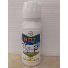 Belt expert 480 SC isi 100 ml Insektisida pestisida