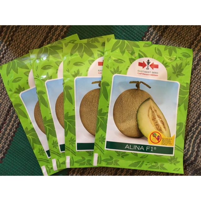 Benih Melon Alina