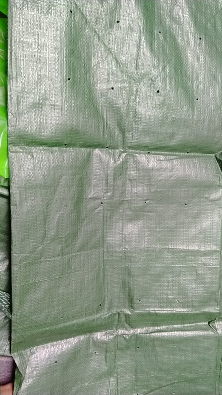 Easy Grow Hedge Bag (large)