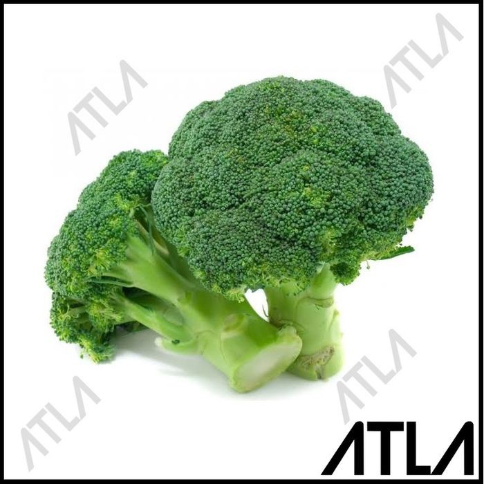 Benih Brokoli Biji Bibit Tanaman Sayur Sayuran Hidroponik Refill - Ph1063