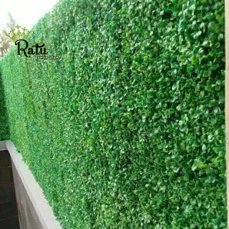 daun sintetis type dolar