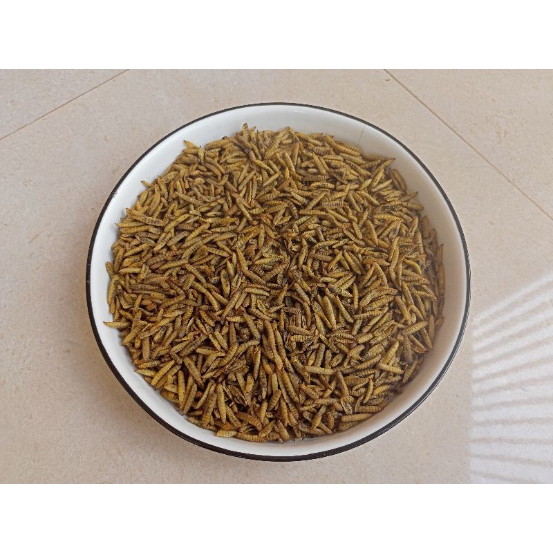 MAGGOT KERING (50 GRAM), DRIED MAGGOT, DRY MAGGOT, BSF